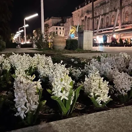 Hostel Habibi Tu Silver Gate Diocletians Palac Split