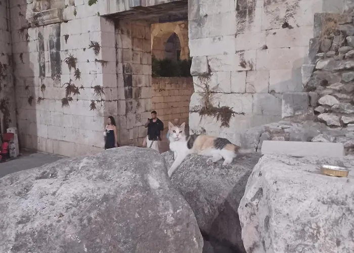 Hostel Habibi Tu Silver Gate Diocletians Palac Σπλιτ