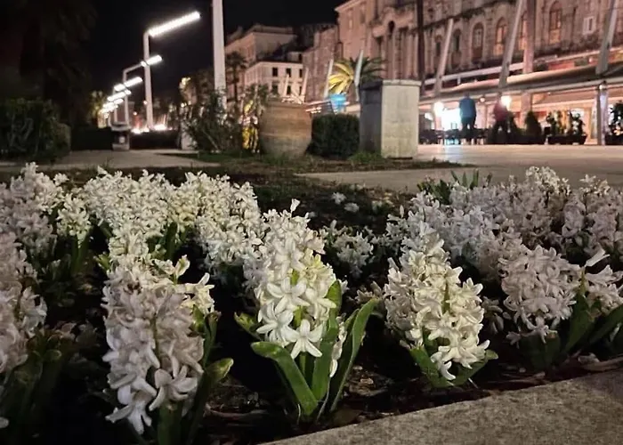 Hostel Habibi Tu Silver Gate Diocletians Palac Σπλιτ