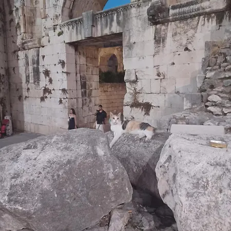 Hostel Habibi Tu Silver Gate Diocletians Palac Split